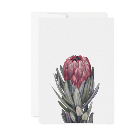 Protea flower on greeting card
