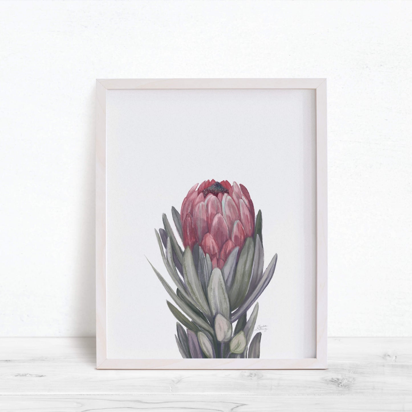 Protea Flower Print