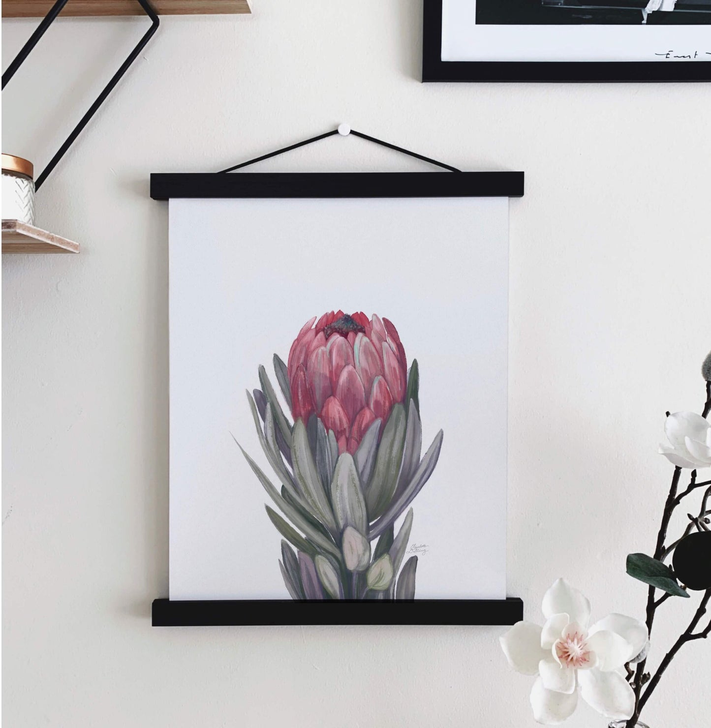 Protea Flower Print